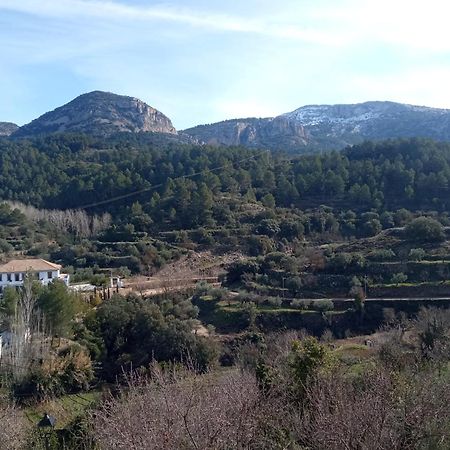 Alcoleja Casa Malferit 호스텔 외부 사진