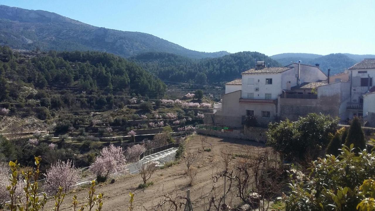 Alcoleja Casa Malferit 호스텔 외부 사진